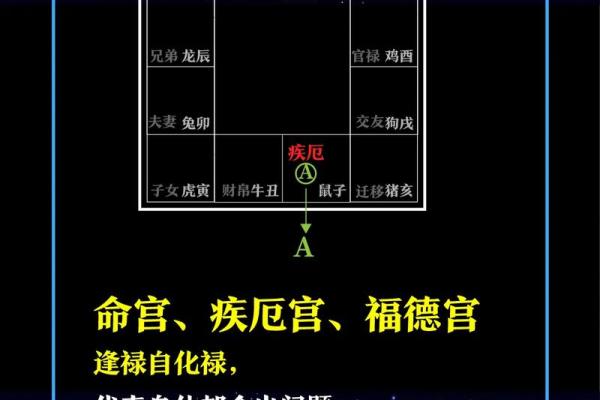福德宫紫薇斗数
