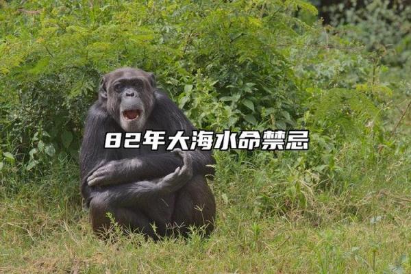 八字大海水命