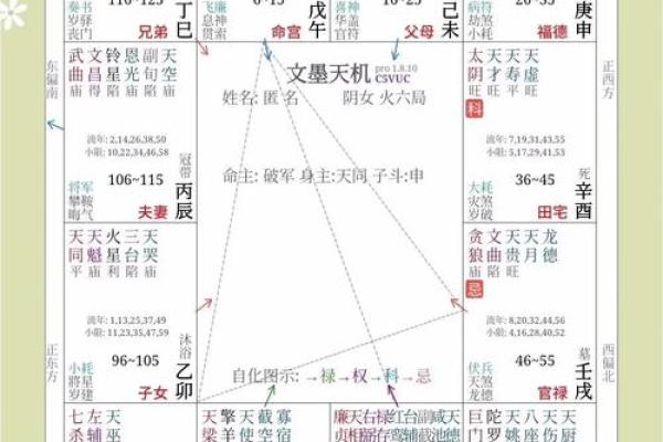 紫薇斗数看有没有孩子