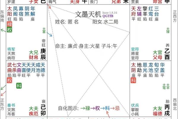紫薇斗数正财星
