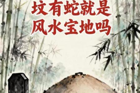 房子上能画条蛇吗风水