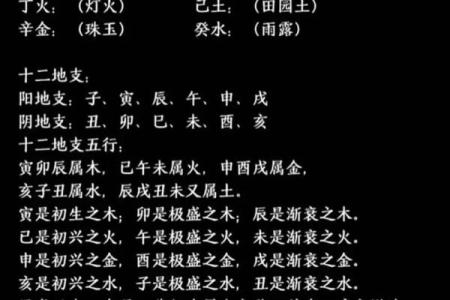 高学历的八字 高学历八字如何改变人生