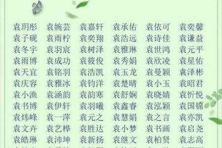 2019年4月29号寅时出生的男孩应该起什么样的名字姓名