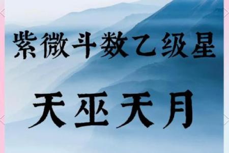 紫微斗数诸星落命宫之：天巫星详解