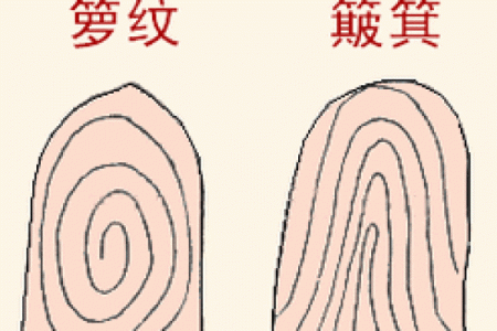 指纹算命 十指指纹算命查询