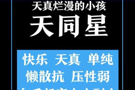 紫薇斗数许老师