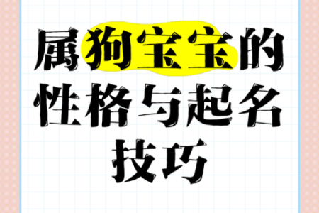 十月份出生的属狗男孩应该如何取一个好名字姓名