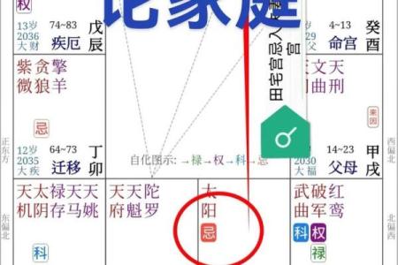 紫薇斗数看有没有孩子
