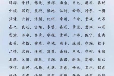 2019年4月12号丑时出生的男孩要怎么起名字姓名