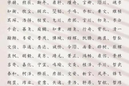 给属鼠巳时出生的男孩取名的好方法姓名
