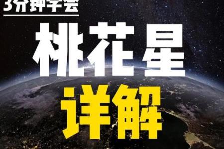 紫薇斗数无桃花