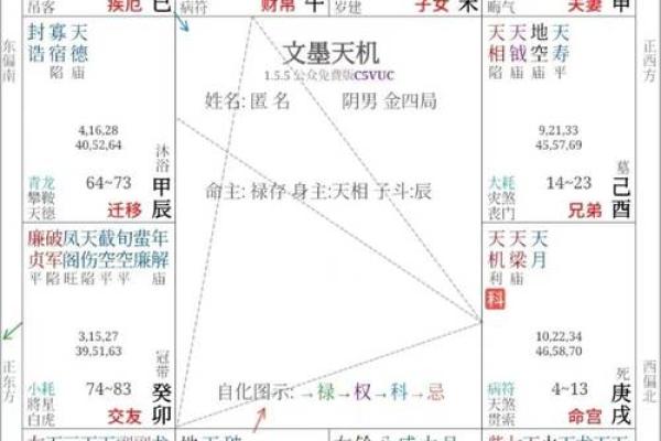 紫薇斗数高人