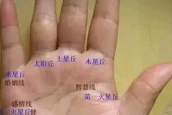 手相算命之十大手相富贵纹