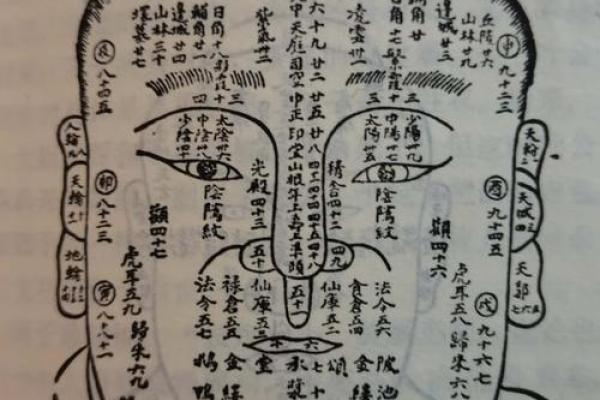 孕妇能算命吗
