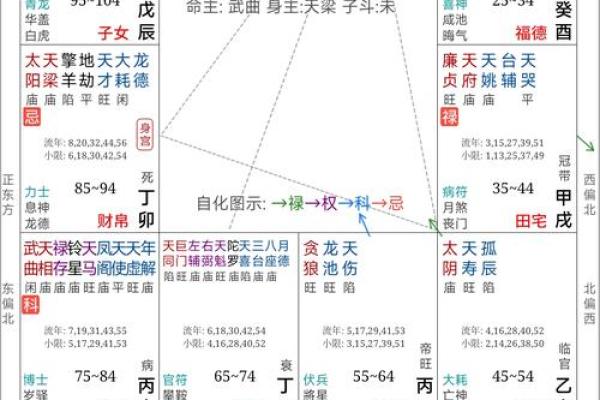 紫薇斗数流年看考试