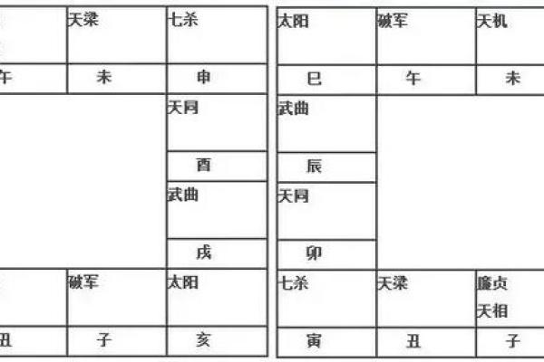 紫薇斗数断盘