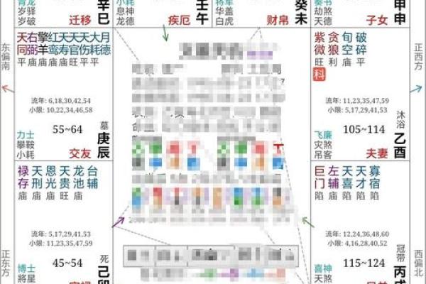 大运紫薇斗数
