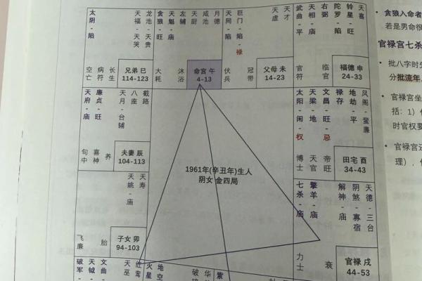 怎么学习紫薇斗数