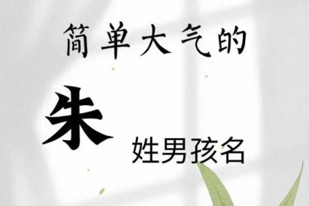 朱姓男孩名字大全-朱姓男孩起名字大全-朱姓名字大全姓名