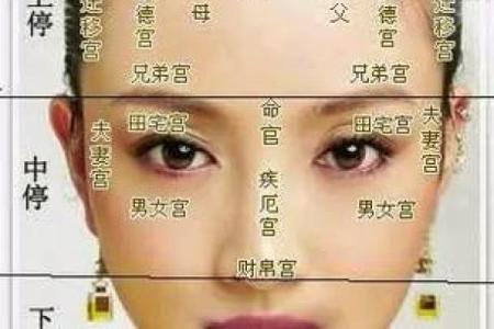面相算命入门：三停，什么是三停？