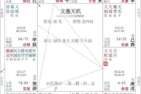 紫薇斗数高人