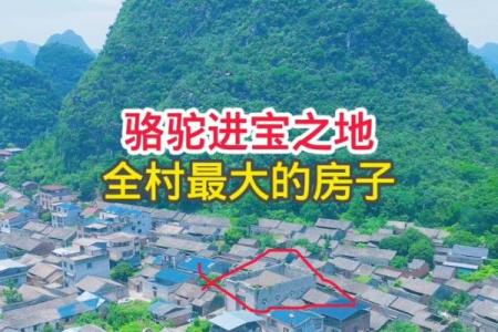 风水上说不能住太大的房子