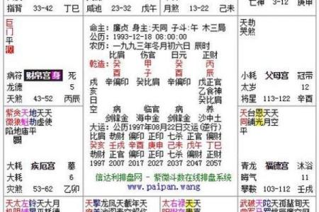 紫薇斗数男命命宫紫薇