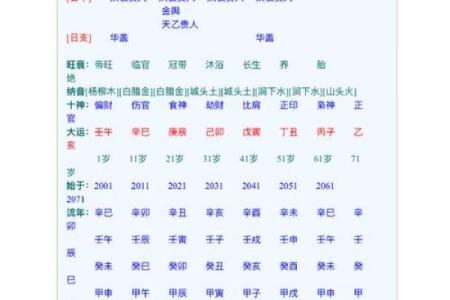 童子命在线排盘速查 根据生辰八字 得出查询结果
