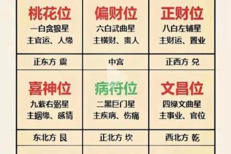 紫微斗数之流星的看法，流年岁前十二神吉凶断：官符