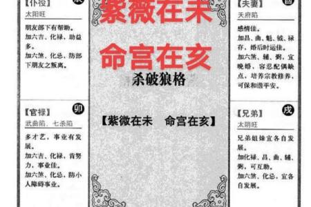 紫微斗数之兄弟宫在寅宫，是什么意思？