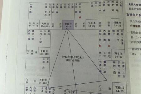 怎么学习紫薇斗数