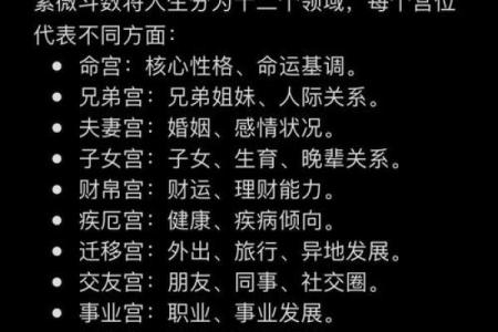 紫微斗数诸星落诸宫之：破军星子女宫详解