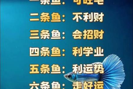 办公室风水鱼缸的摆放禁忌 鱼的数目也是有讲究的