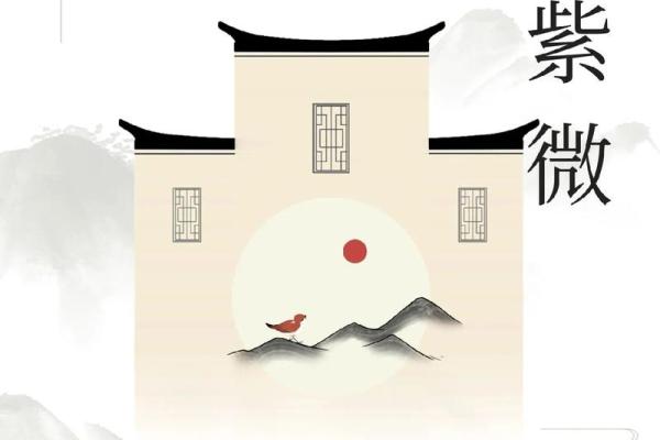 紫薇斗数测国运