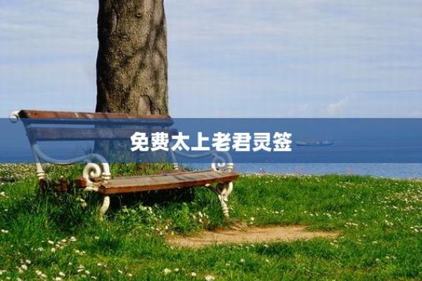 太上灵签19