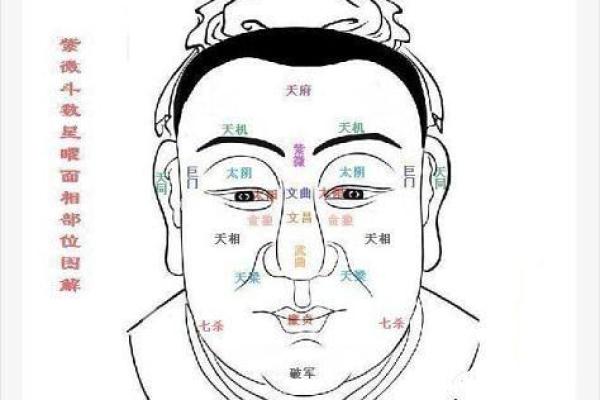 紫薇斗数看面相