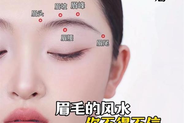 面相风水女人十大富贵眉毛你有吗