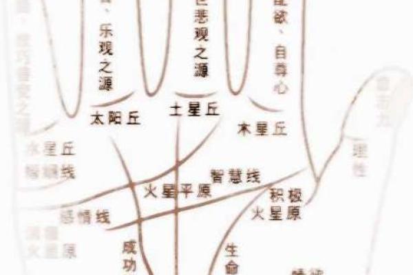 手相算命,女人手相成功线图解