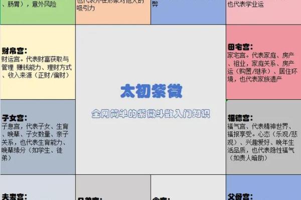 紫微斗数紫微斗数全书 紫微斗数全解？