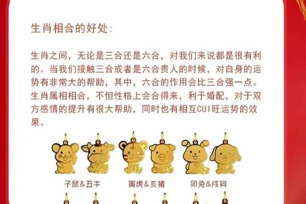 算命合作
