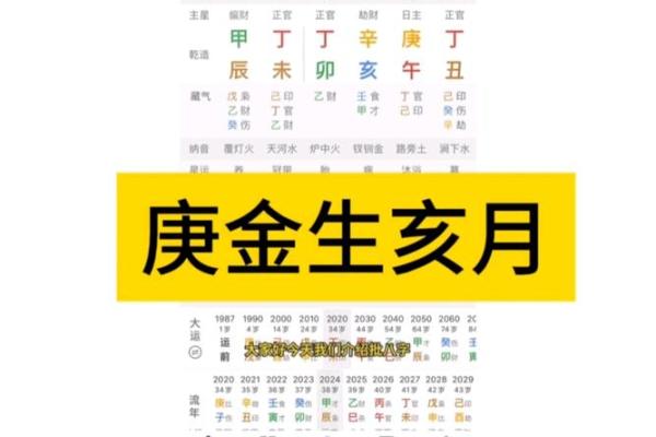 亥时的八字