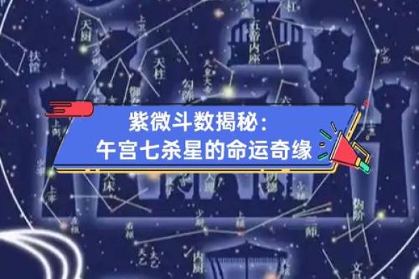 紫薇斗数丁级星