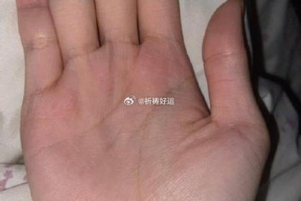 小指短的手相算命