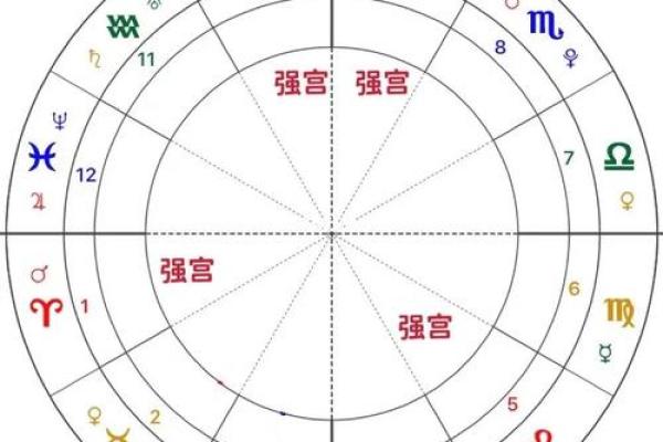 包含紫薇圣人斗数的词条