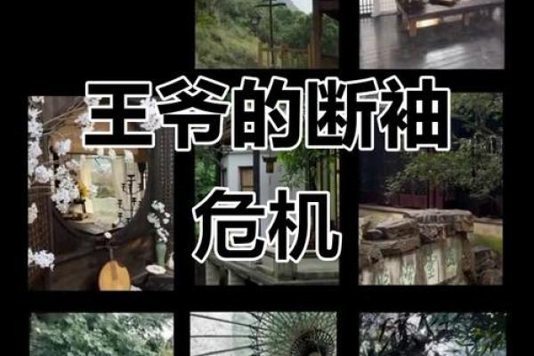 八字过硬是什么意思