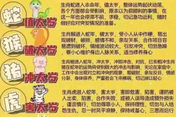 飞星紫微斗数用太岁入卦 紫微斗数太岁指什么？