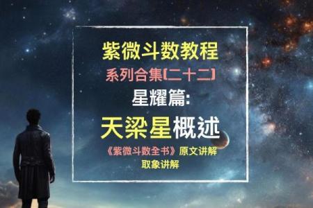天粱紫薇斗数