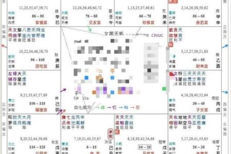 紫薇斗数父疾线看什么