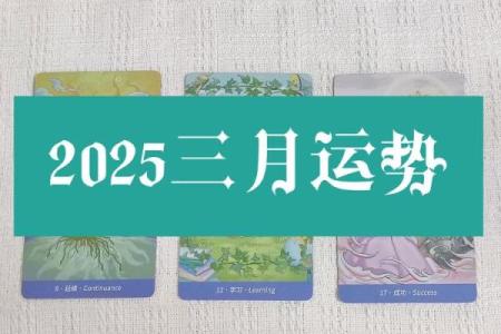 塔罗测试：三月学习运？