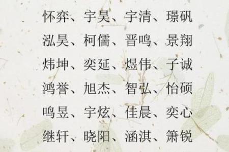 如何给属蛇酉时出生的男孩起名，适合什么字姓名